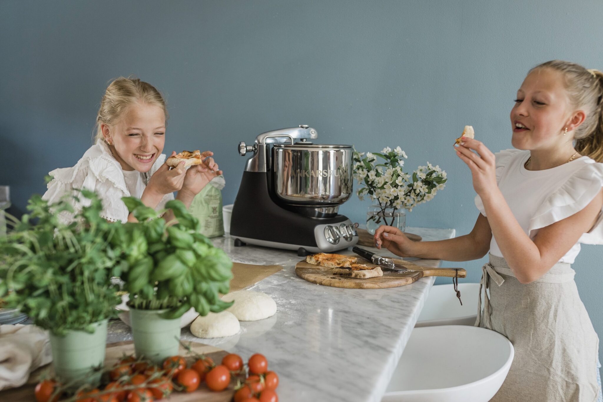 Ankarsrum 6230 Ankarsrum 6230